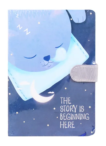 Блокнот с магнитной застежкой "Кот и космос The story is beginning here", 256 страниц, 13 x 19 см - фото 5