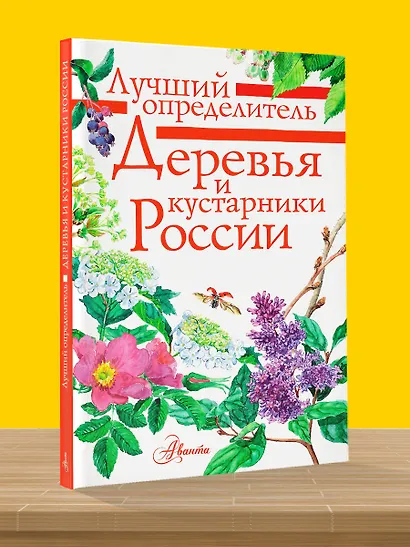 Деревья и кустарники России. Определитель - фото 5