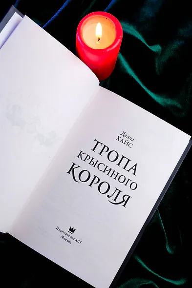 Тропа Крысиного короля - фото 7