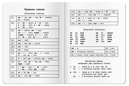 Тетрадь для записи английских слов «Капибары на байдарке», 32 листа в мелкую клетку, А6 - Airis - фото 5
