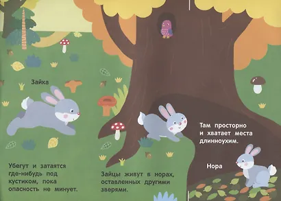 Кто в лесу живет? - фото 4