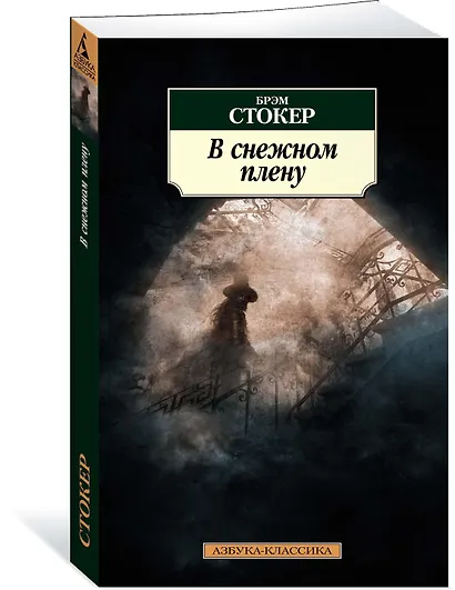 В снежном плену - фото 2