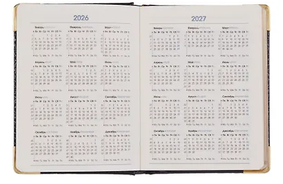 Ежедневник датированный 2026 год, А6, 176 листов, "Business Premium. Grand croco", черный - фото 4