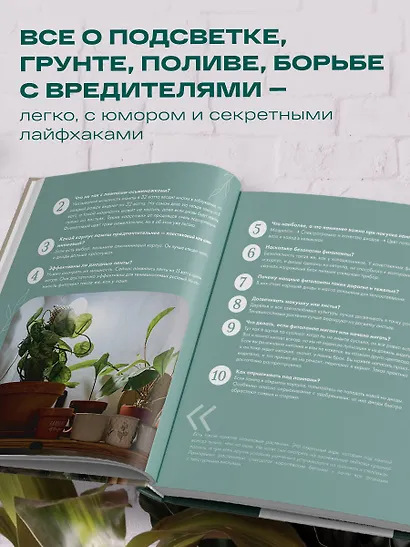 Заклинатель комнатных растений. Секретные лайфхаки от профессионального цветовода - фото 5