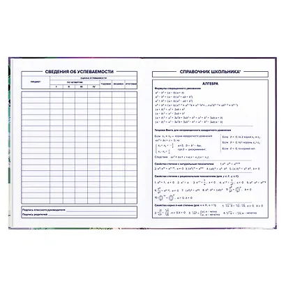 Дневник для средних и старших классов Феникс+, "Кеды" - фото 5