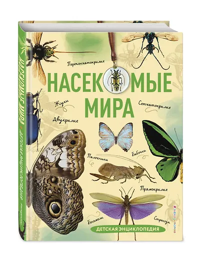 Насекомые мира. Детская энциклопедия - фото 3
