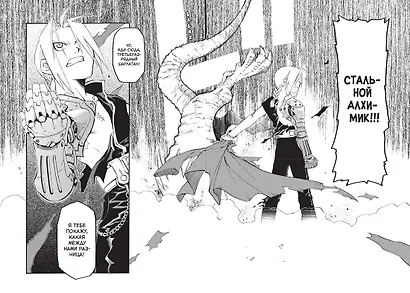 Стальной Алхимик. Книга 1 - фото 6