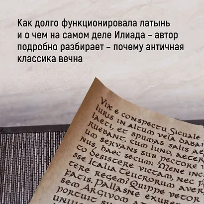 Как натаскать вашу собаку по АНТИЧНОСТИ и разложить по полочкам основы греко-римской культуры - фото 6