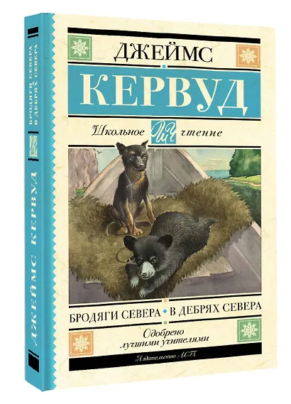 Бродяги Севера. В дебрях Севера - фото 3