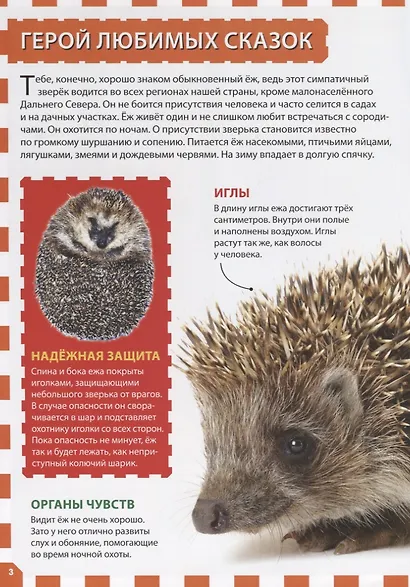 Животные России - фото 4