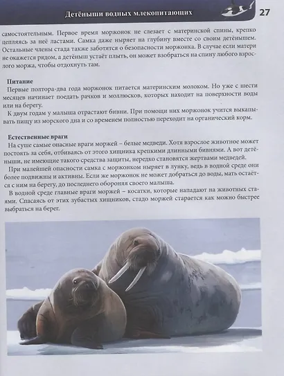 Детеныши животных. Энциклопедия - фото 5