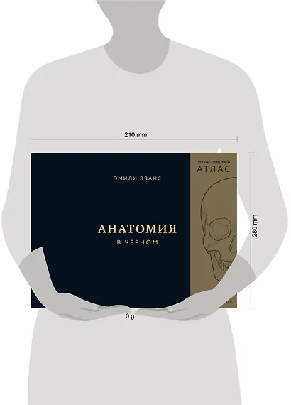Анатомия в черном. Медицинский атлас для любителей роскоши и стиля - фото 15