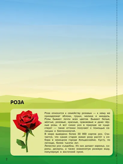 Дивный сад - фото 5