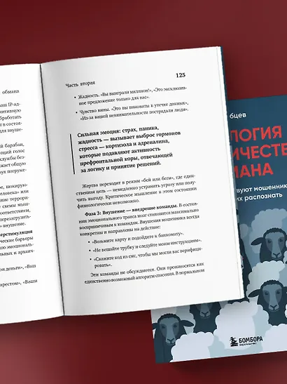 Психология мошенничества и обмана. Как думают и действуют мошенники и как мы можем их распознать - фото 10