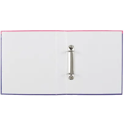 Папка-обложка для тетради со сменными блоками А5 "Прикольные улитки" 2 кольца - фото 2