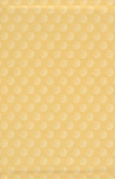 Принцип пирамиды Минто. Золотые правила мышления, делового письма и устных выступлений - фото 3