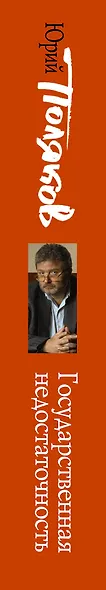 Государственная недостаточность: сборник интервью - фото 4