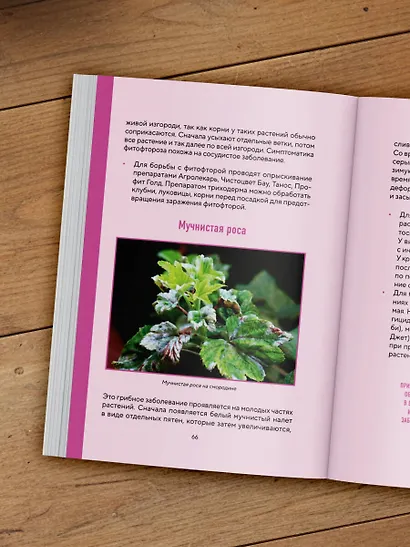 Шпаргалка для садовода. Практические советы по работам в малоуходном саду от Татьяны Селезневой - фото 11