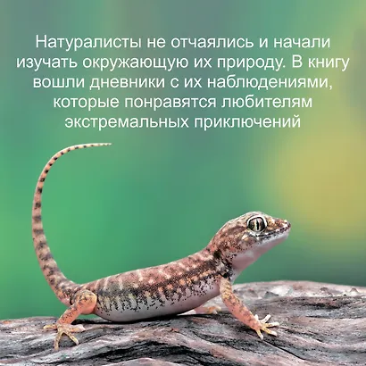 Остров тысячи тайн. Невероятная история жизни двух ученых на необитаемом острове - фото 6