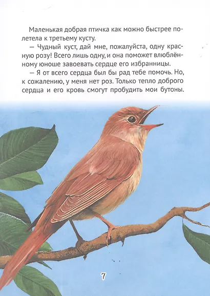 БИБЛИОТЕКА ДЕТСКОГО САДА. СКАЗКИ ОСКАРА УАЙЛДА - фото 6