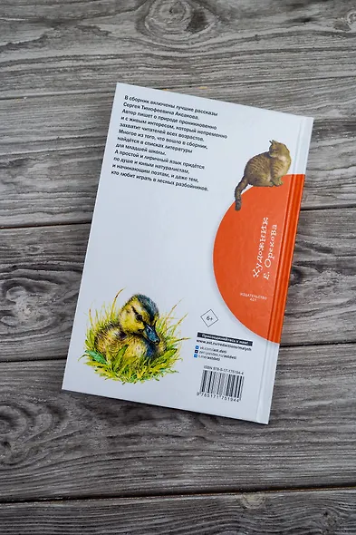 Рассказы о природе - фото 13