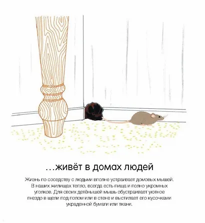 Где они живут? - фото 4