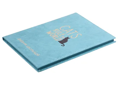 Дневник школьный Феникс+, "Кот" - фото 3