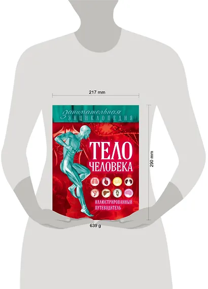Тело человека: иллюстрированный путеводитель - фото 4