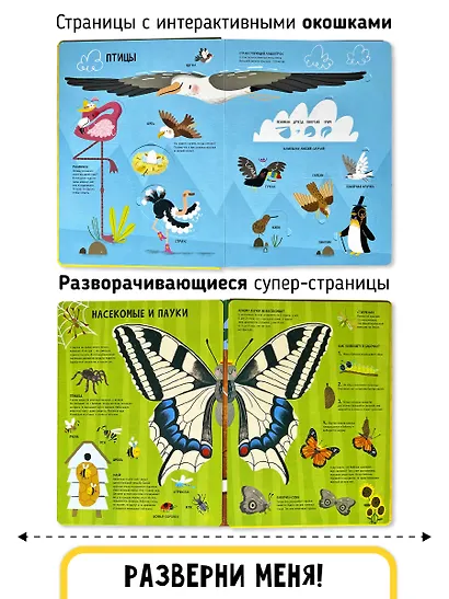 Мои первые открытия «Животные» - фото 8