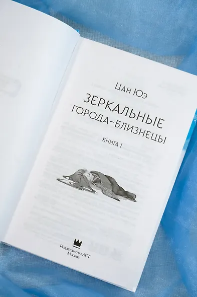 Зеркальные города-близнецы. Книга 1 - фото 9