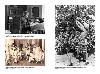 История Израиля: От истоков сионистского движения до интифады начала XXI века - фото 6