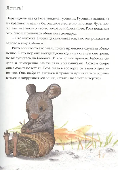 Риго и Роза. 31 история о чудных мелочах. Сказка - фото 4