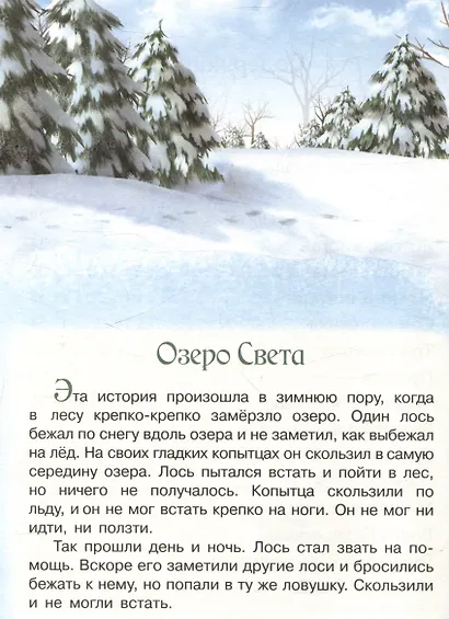 Счастливые звезды - фото 7