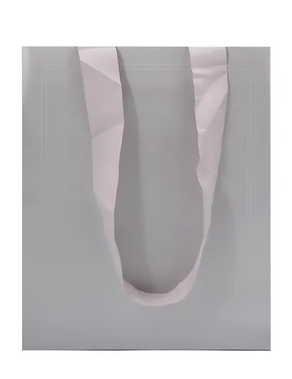 Пакет А4 32*26*10 "Silver" - фото 2