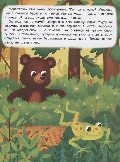 Медвежонок ищет маму. Книжка с наклейками - фото 2