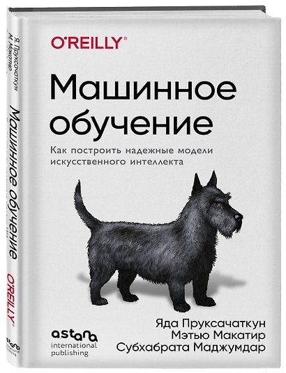 Машинное обучение. Как построить надежные модели искусственного интеллекта - фото 3