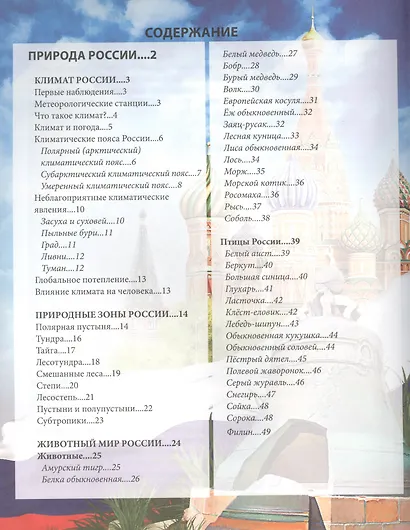 Россия - фото 2