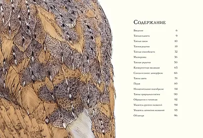 Тайны дикой природы - фото 3