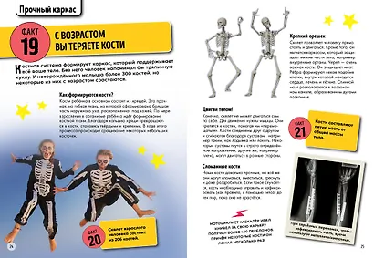 Всё о теле человека - фото 6