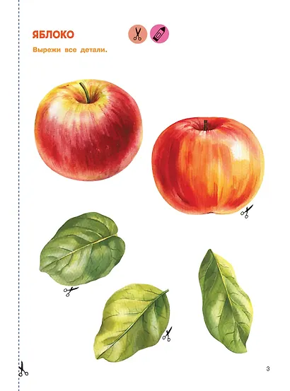 Вырезай и клей. Овощи и фрукты - фото 12