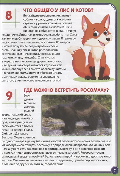 123 вопроса – 123 ответа. Животные России - фото 3