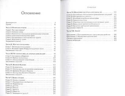 Исцеление от эмоциональных травм — путь к сотрудничеству, партнерству и гармонии. - фото 2