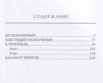 Бесшабашный - фото 2