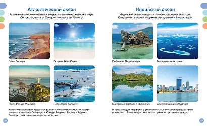 Море и его обитатели - фото 14