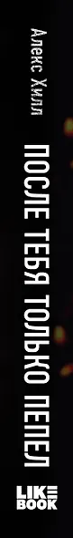 После тебя только пепел - фото 13