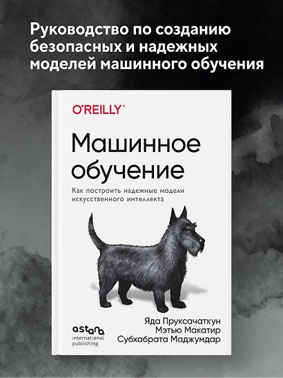 Машинное обучение. Как построить надежные модели искусственного интеллекта - фото 4