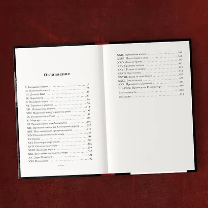 Правосудие королей - фото 5