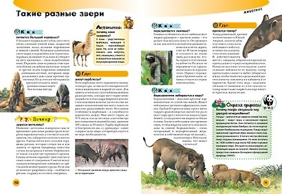 Энциклопедия современного школьника - фото 4