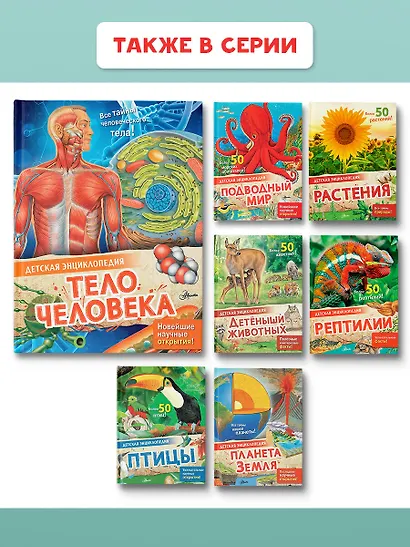 Тело человека - фото 10