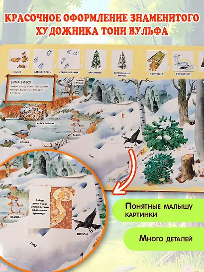 В лесу. Виммельбух - фото 6